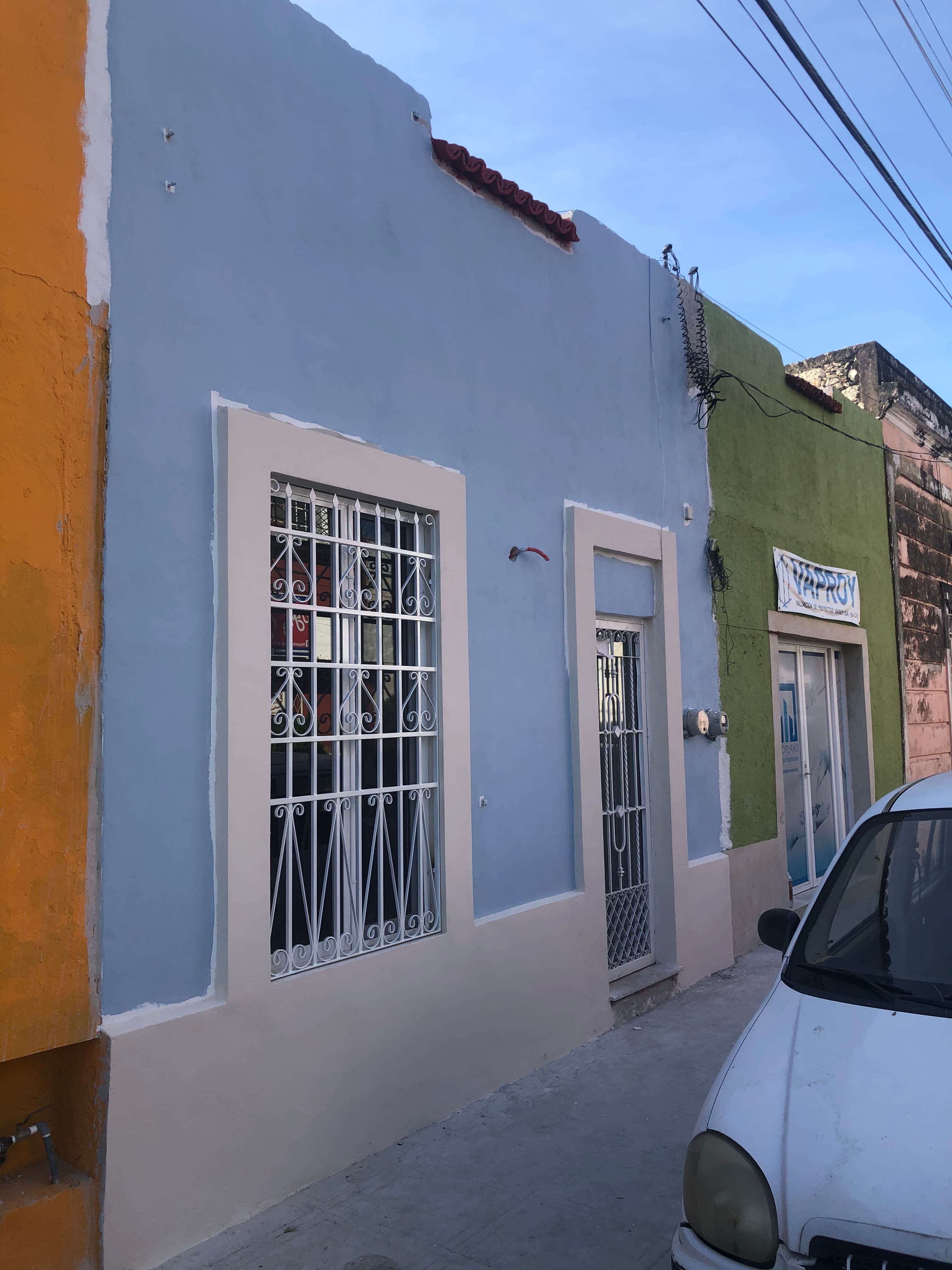 Jardín tropical